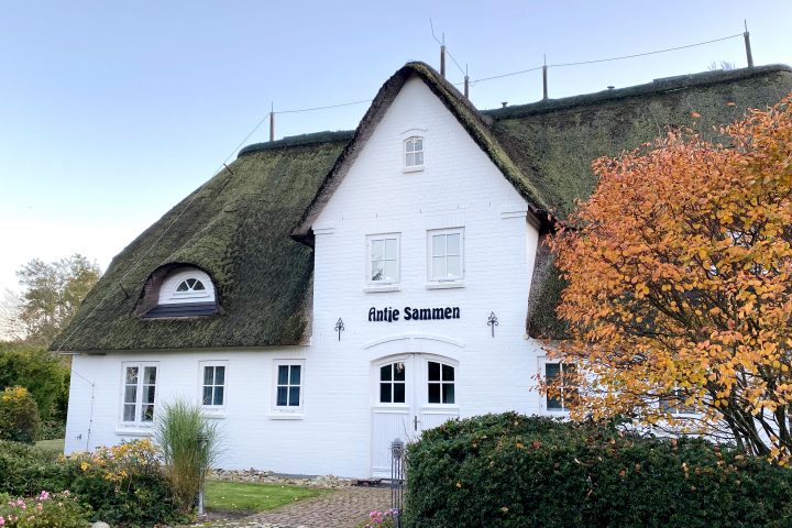 Das reetgedeckte Friesenhaus Antje Sammen in Norddorf auf Amrum in der Nordsee mit Ferienwohnungen